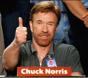 Chuck Norris approval